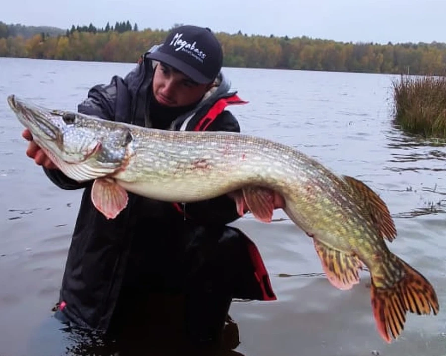 pêche des carnassiers aux leurres en Vendée