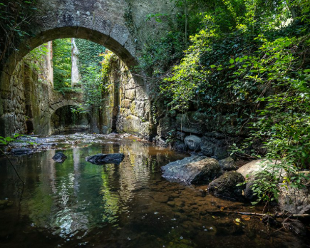 guide de pêche vendée