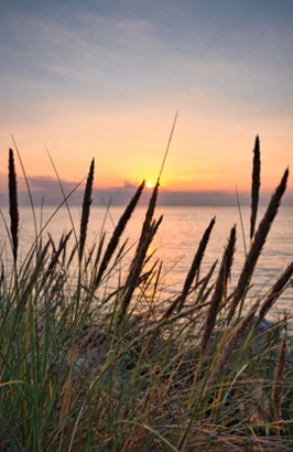 pêche en mer Vendée